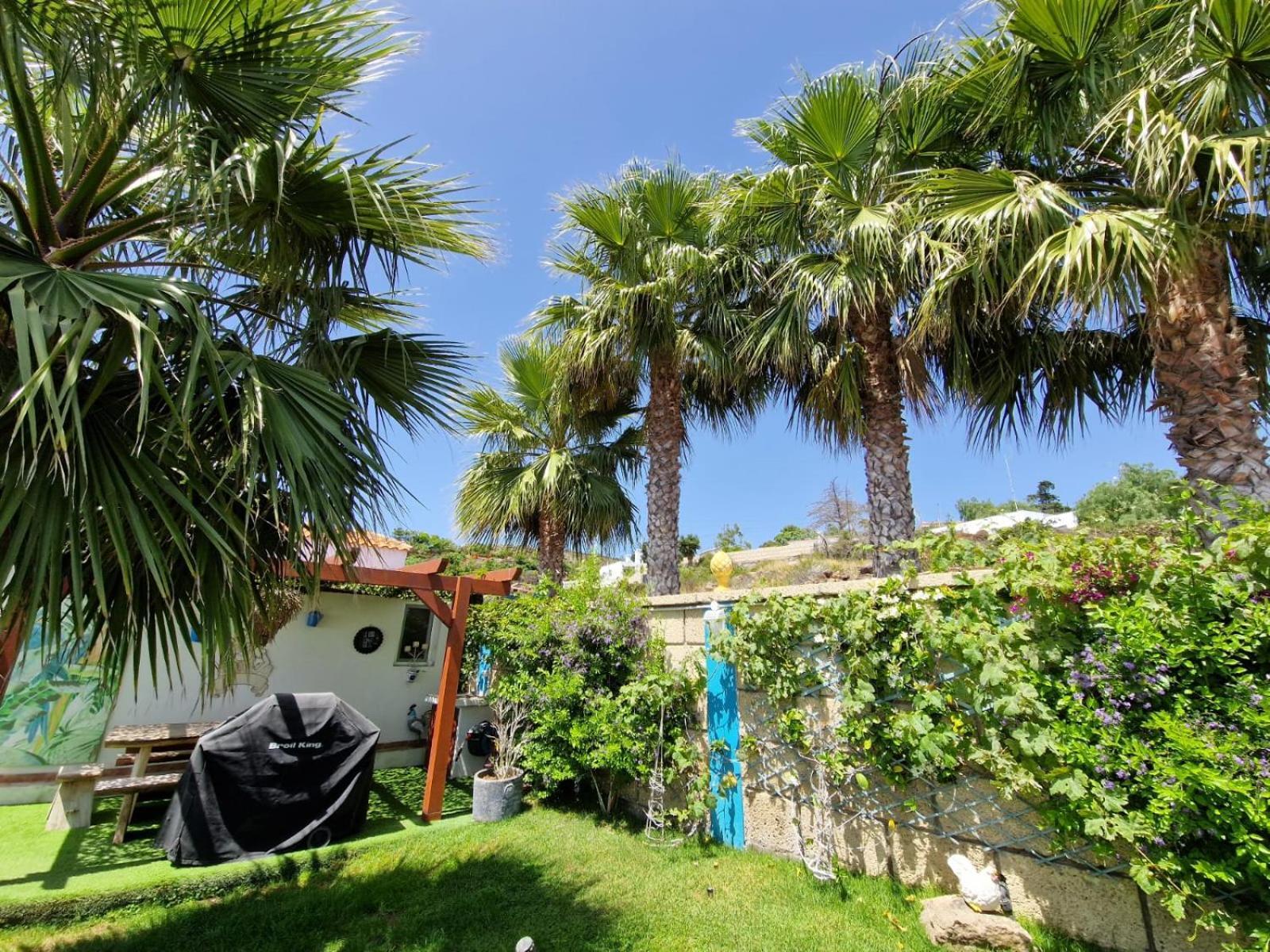 Escape To Finca Conejo, Typical Canarian House Private Jacuzzi, Sauna, Gym, Finca Conejo Taucho By Aqua Vista Tenerife Адехе Экстерьер фото